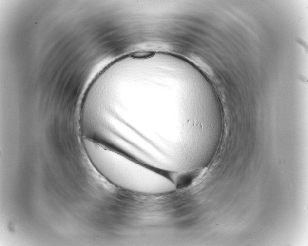 X0000093231248200710241229