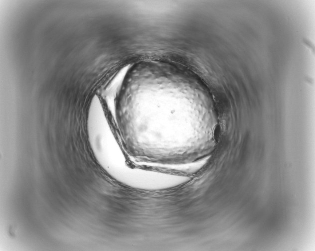 X0000093231251200710241229