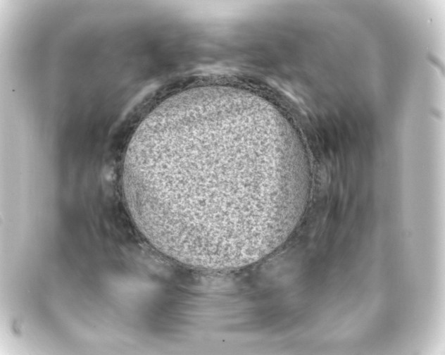 X0000093231254200710241229