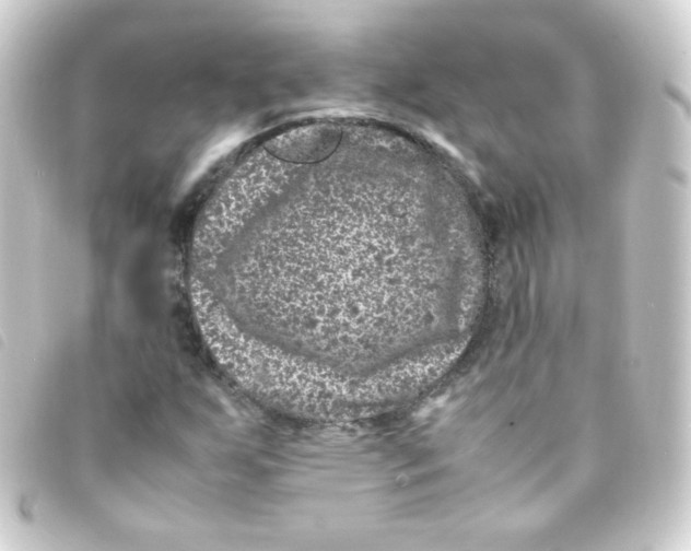 X0000093231255200710241229