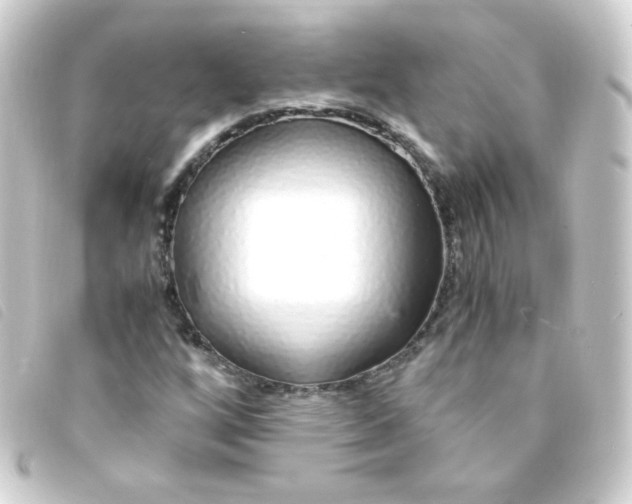 X0000093231256200710241229