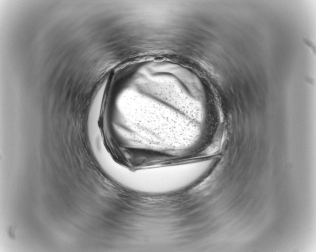 X0000093231257200710241229