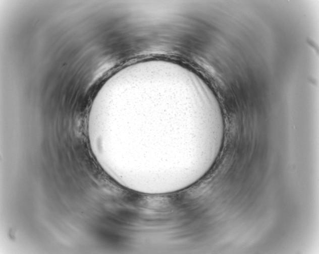 X0000093231258200710241229