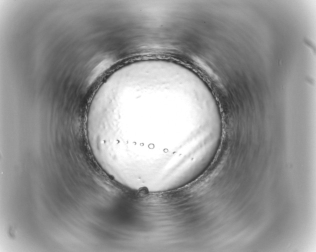 X0000093231259200710241229