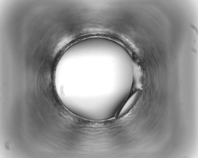 X0000093231261200710241229