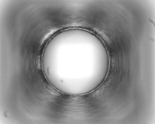 X0000093231262200710241229