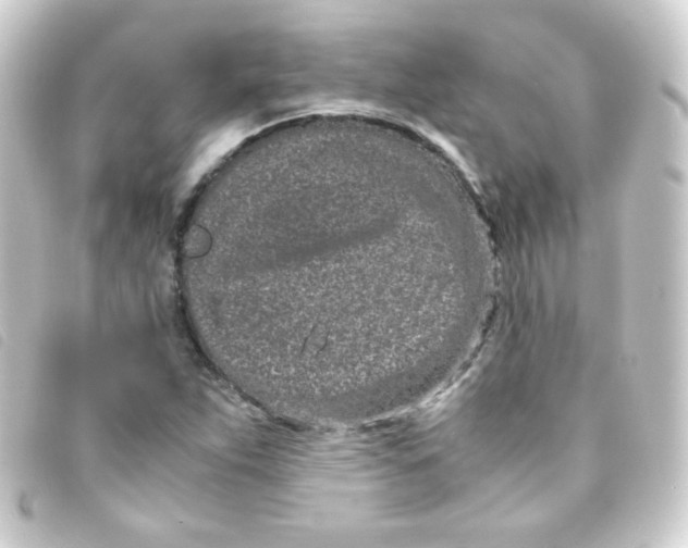 X0000093231263200710241229