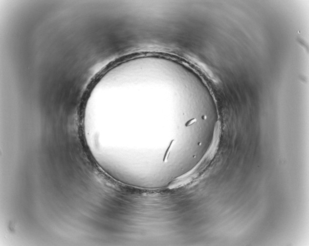 X0000093231264200710241229