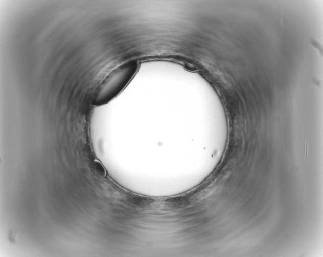 X0000093231265200710241229