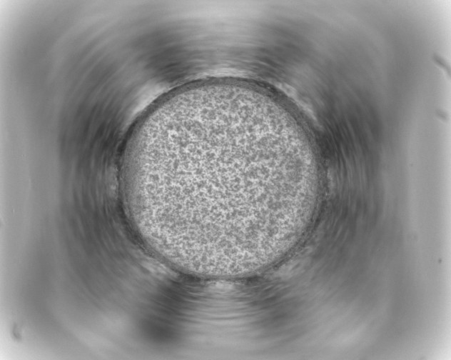 X0000093231266200710241229