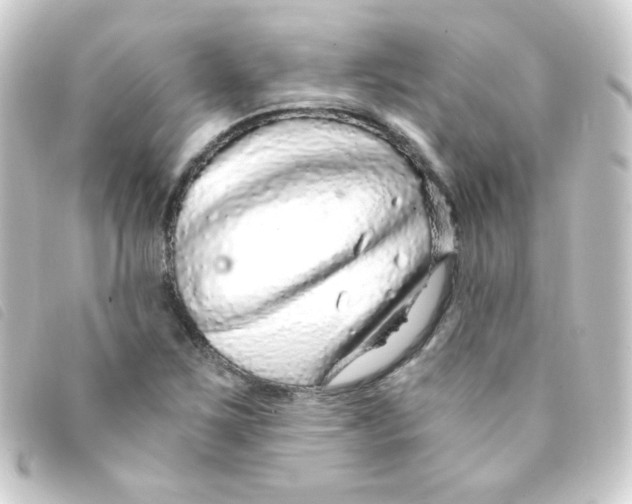 X0000093231267200710241229