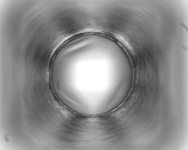 X0000093231268200710241229