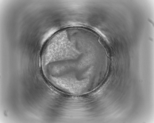 X0000093231269200710241229