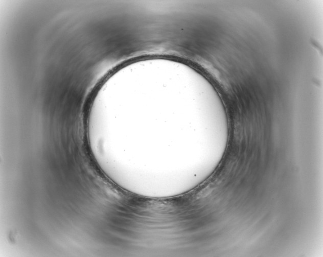 X0000093231270200710241229