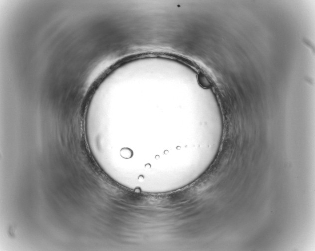 X0000093231271200710241229