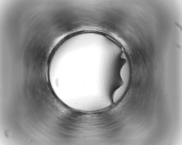 X0000093231272200710241229