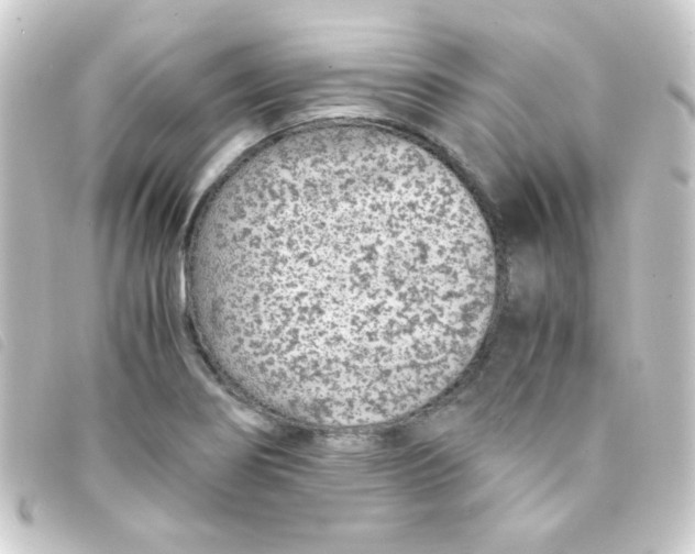 X0000093231274200710241229