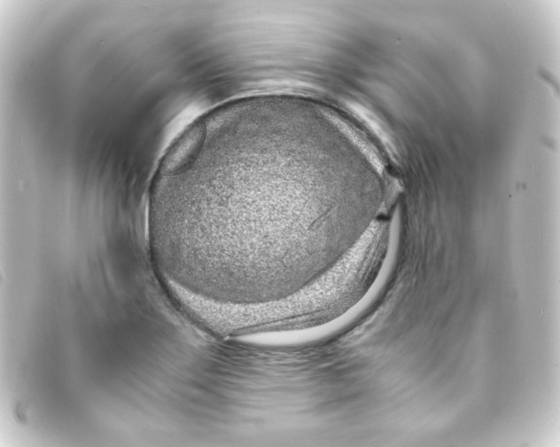 X0000093231275200710241229