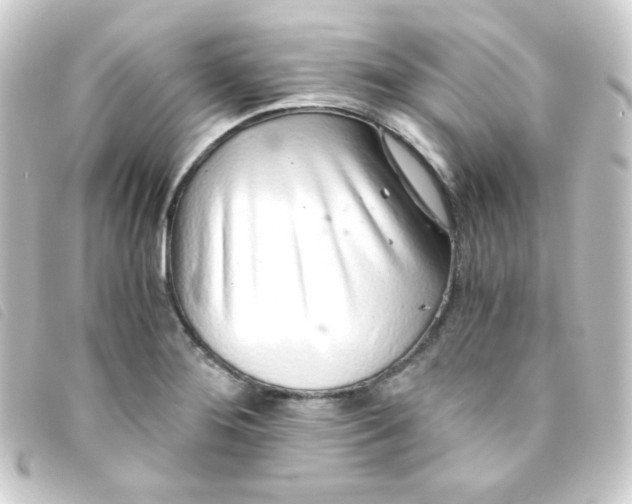 X0000093231276200710241229