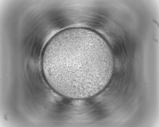 X0000093231278200710241229