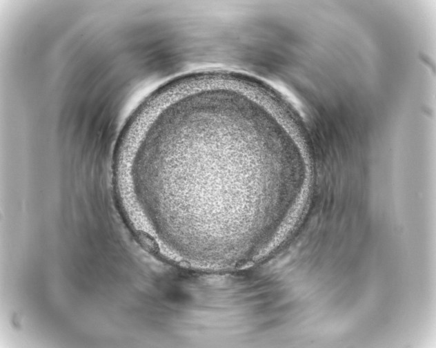 X0000093231279200710241229