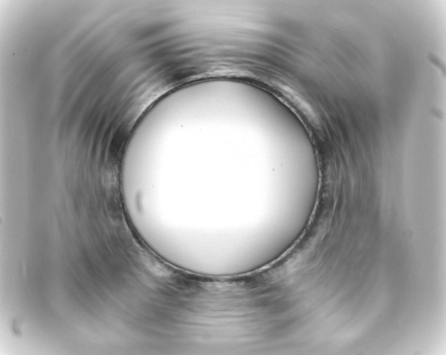 X0000093231281200710241229