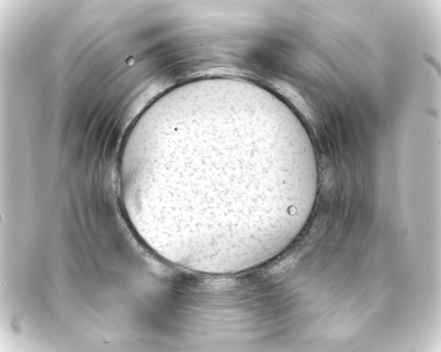 X0000093231282200710241229