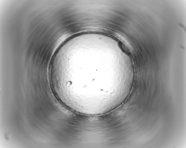 X0000093231283200710241229