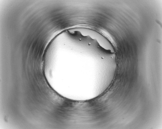 X0000093231284200710241229