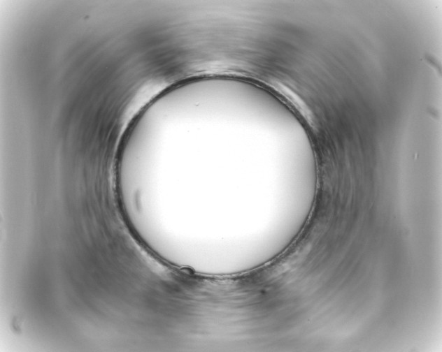 X0000093231285200710241228