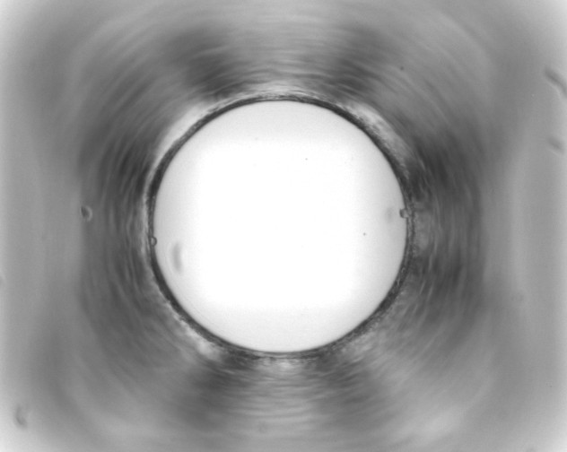 X0000093231286200710241228