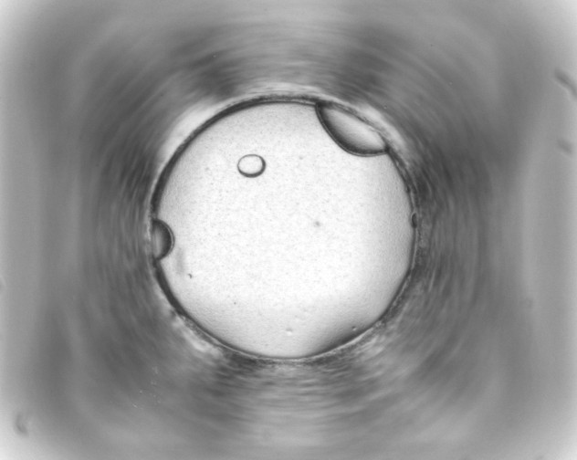 X0000093231287200710241228