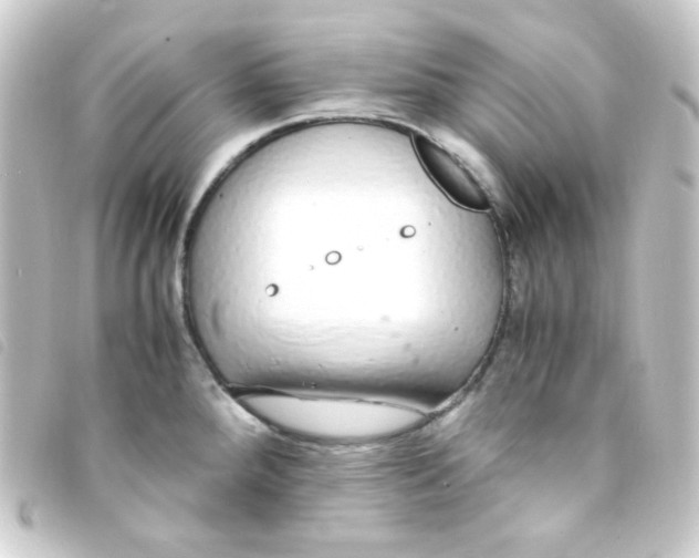 X0000093231288200710241228