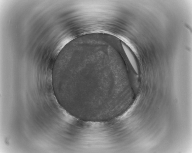 X0000093231289200710241228