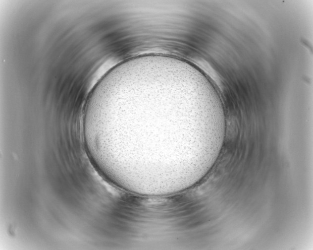 X0000093231290200710241228