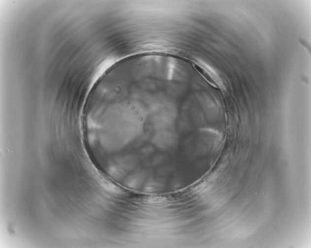 X0000093231291200710241228