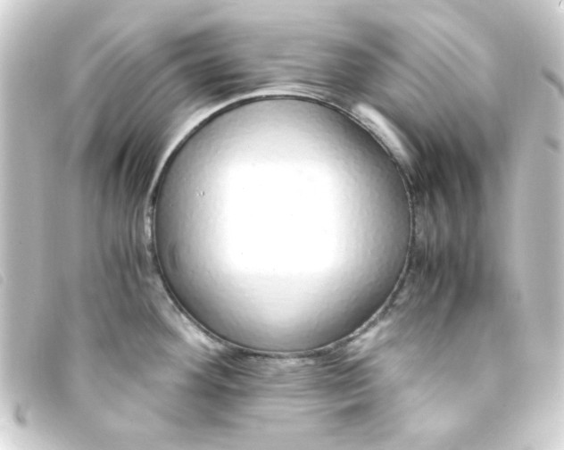 X0000093231292200710241228