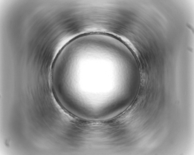 X0000093231295200710241228