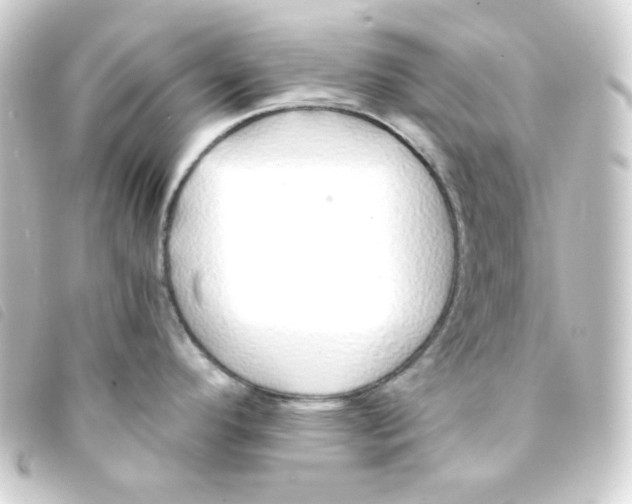 X0000093231296200710241228