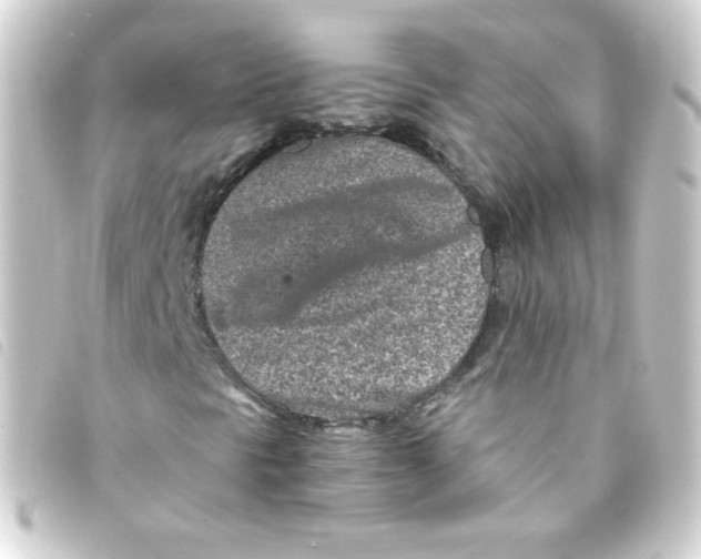 X0000093231297200710241228