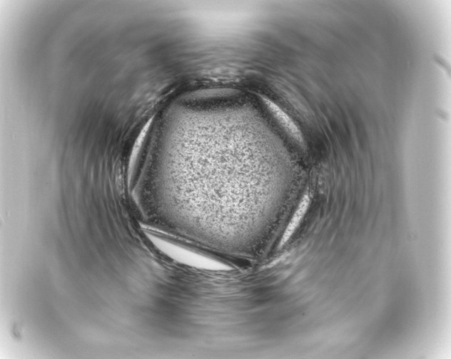 X0000093231298200710241228