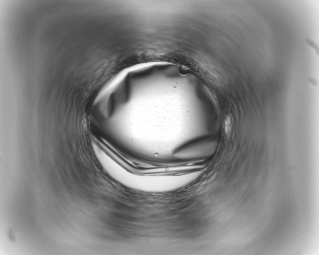 X0000093231299200710241228