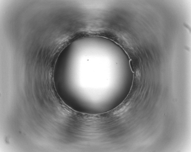 X0000093231300200710241228