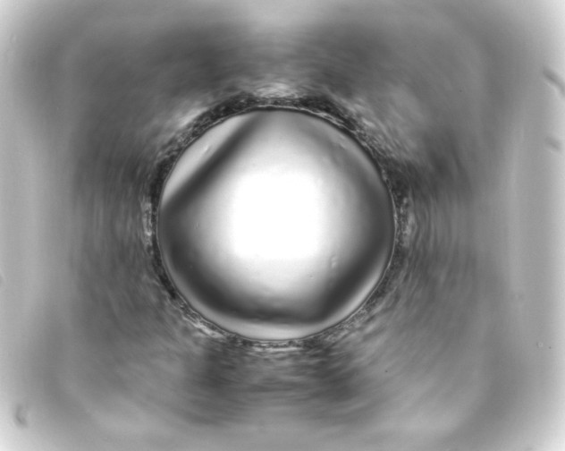 X0000093231301200710241228