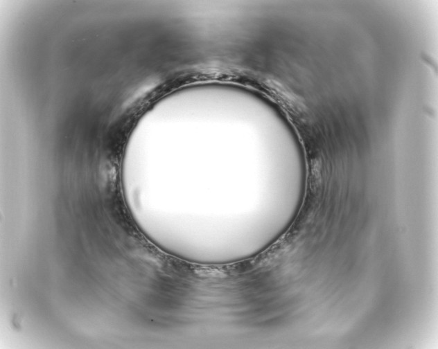 X0000093231302200710241228