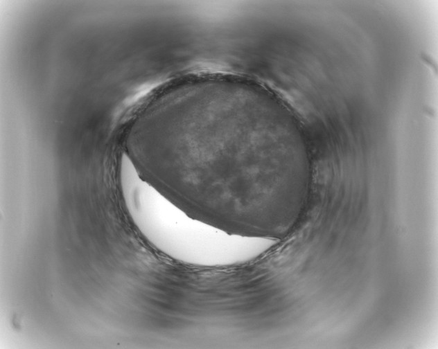 X0000093231303200710241228