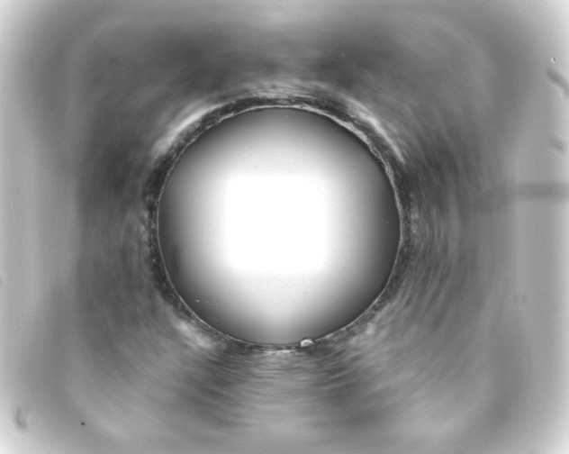 X0000093231304200710241228