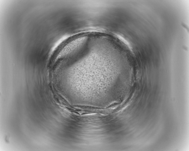 X0000093231310200710241228