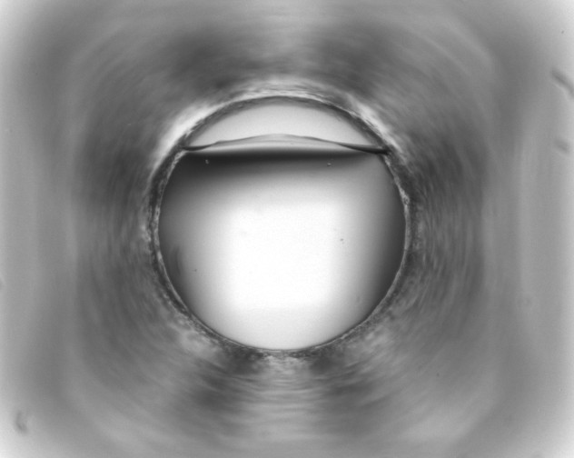 X0000093231312200710241228