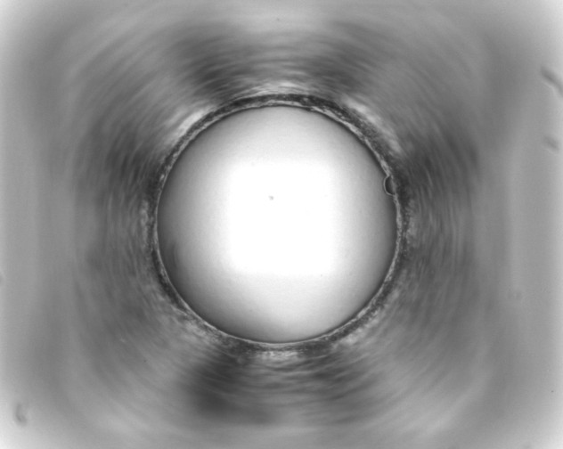 X0000093231313200710241228